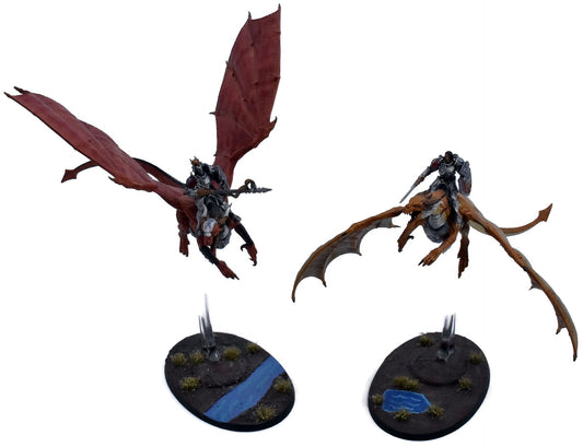 STORMCAST ETERNALS 2 Stormdrake Guard / Knight-Draconis #3 Sigmar 0465