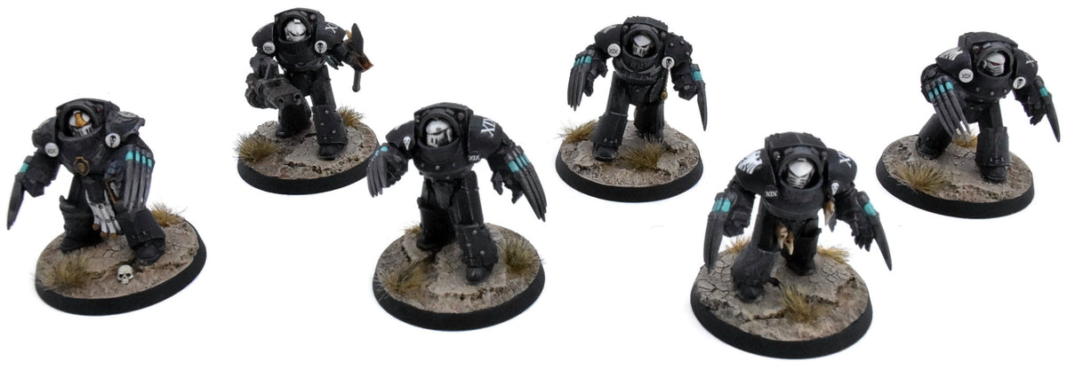 SPACE MARINE LEGIONS 6 Tartaros Terminators #2 PRO PAINTED Raven guard 0029