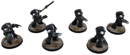 SPACE MARINE LEGIONS 6 Tartaros Terminators #2 PRO PAINTED Raven guard 0029