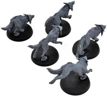 SPACE WOLVES 5 Fenrisian Wolves #1 Warhammer 40K 1830