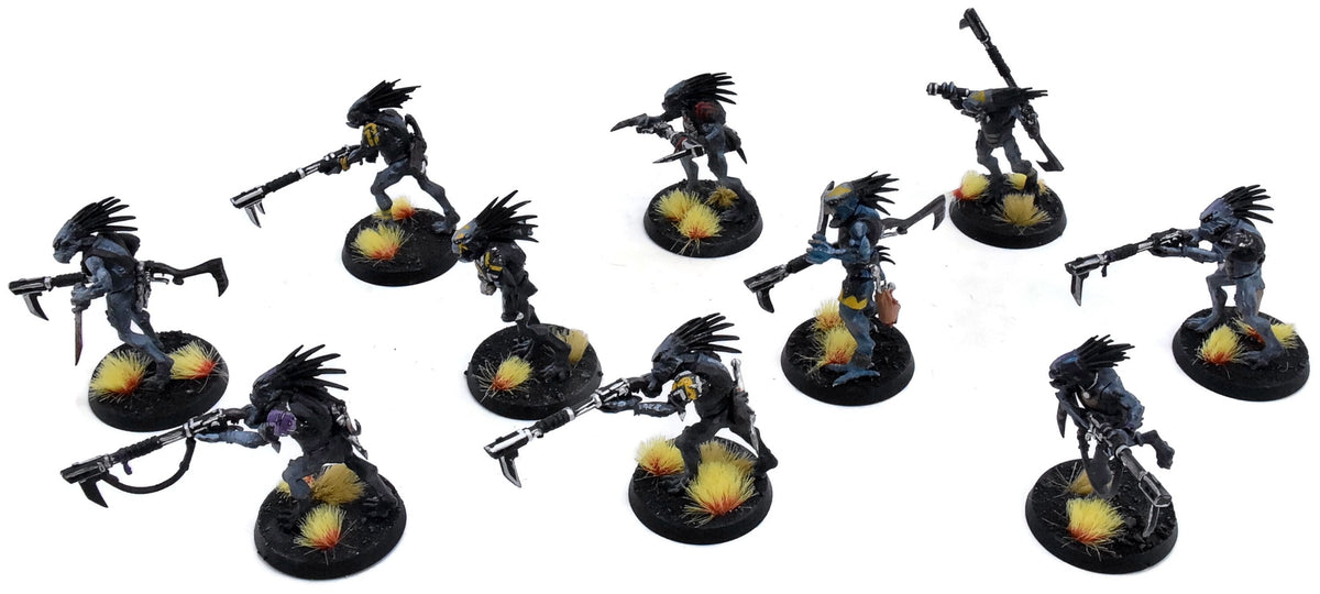 TAU EMPIRE 10 Kroot Carnivores #5 WELL PAINTED Warhammer 40K 0142
