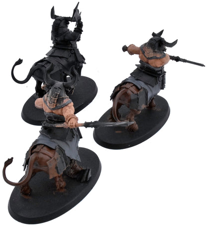 HELSMITHS OF HASHUT 3 Anointed Sentinels #1 Warhammer Sigmar 8961