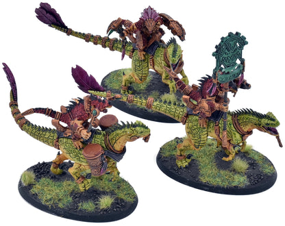 SERAPHON 3 Aggradon Lancers #1 WELL PAINTED Warhammer Sigmar 2059