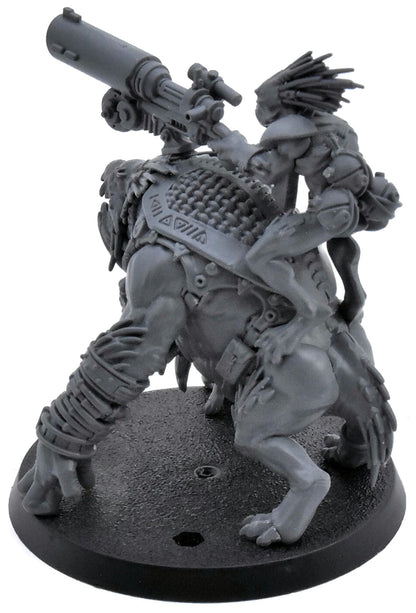 TAU EMPIRE Krootox Rider #2 Warhammer 40K 0333