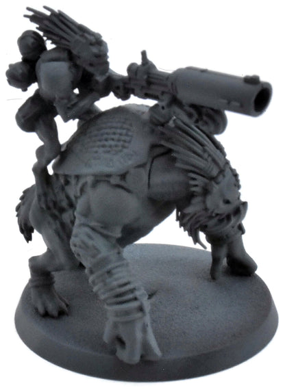 TAU EMPIRE Krootox Rider #1 Warhammer 40K 0418