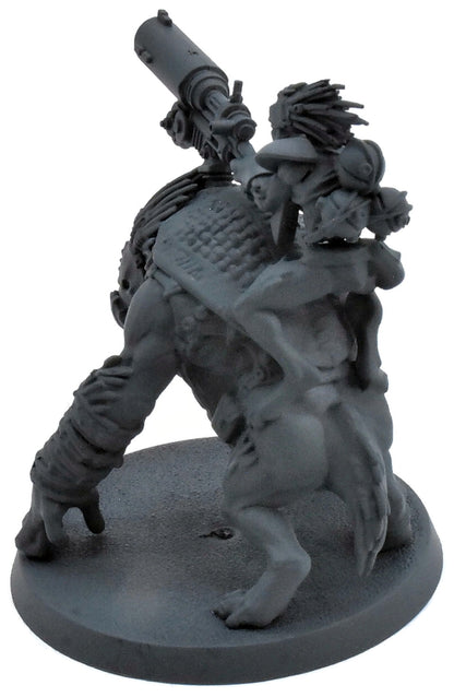 TAU EMPIRE Krootox Rider #1 Warhammer 40K 0418