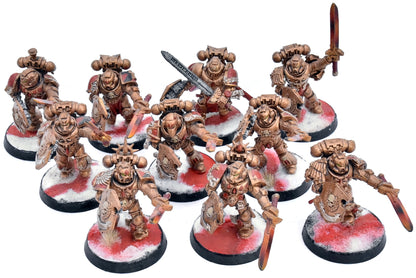 BLOOD ANGELS 10 Assault Intercessors #1 CONVERTED W/ Shield Warhammer 40K 0179