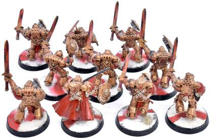 BLOOD ANGELS 10 Assault Intercessors #1 CONVERTED W/ Shield Warhammer 40K 0179