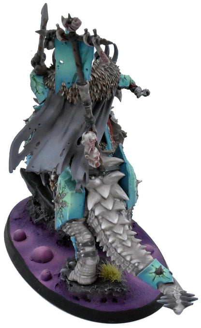 SLAVES TO DARKNESS Lord On Karkadrak #1 PRO PAINTED Warhammer Sigmar 0506