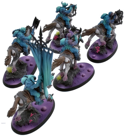 SLAVES TO DARKNESS 5 Marauder Horsemen #1 WELL PAINTED Sigmar 0629