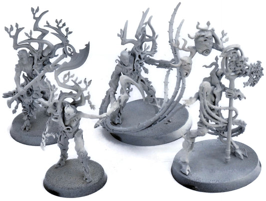 SYLVANETH 4 Warcry Twistweald #1 Warhammer Sigmar 0933