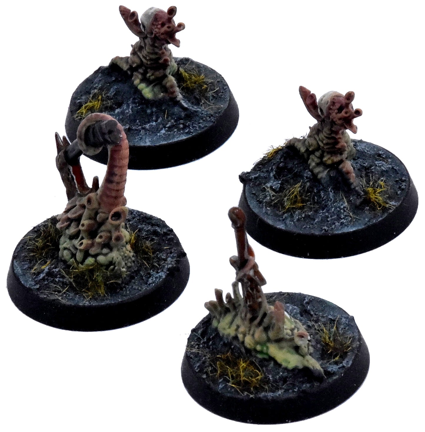 WARHAMMER QUEST 4 Treasure Living Rot Tokens Darkwater #1 PRO PAINTED Sigmar1015