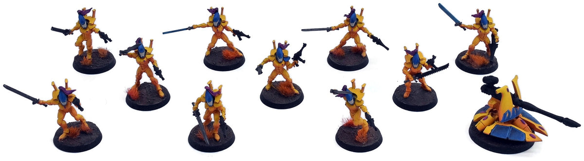AELDARI 10 Storm Guardians #1 PRO PAINTED Warhammer 40K 1934