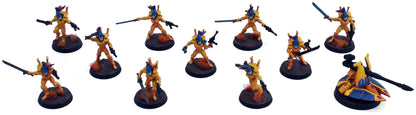 AELDARI 10 Storm Guardians #1 PRO PAINTED Warhammer 40K 1934