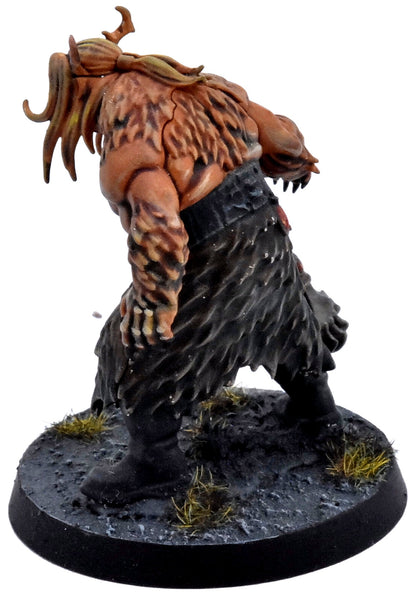 WARHAMMER QUEST Drasher Vorn Darkwater #1 PRO PAINTED Warhammer Sigmar 1053