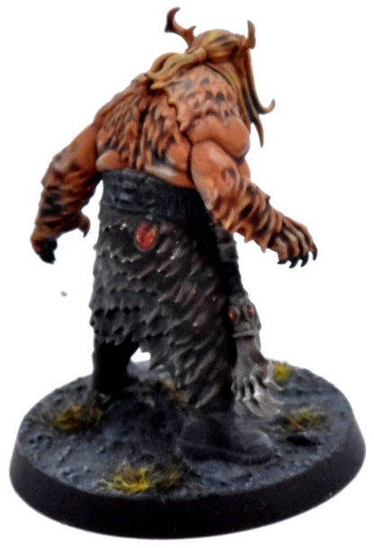 WARHAMMER QUEST Drasher Vorn Darkwater #1 PRO PAINTED COMMISSION Sigmar 1060