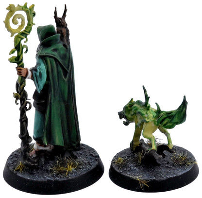 WARHAMMER QUEST Jacobus Vyne Darkwater #1 PRO PAINTED Warhammer Sigmar 1138