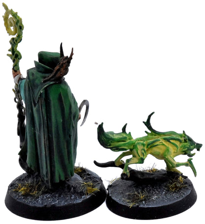 WARHAMMER QUEST Jacobus Vyne Darkwater #1 PRO PAINTED COMMISSION Sigmar 1145