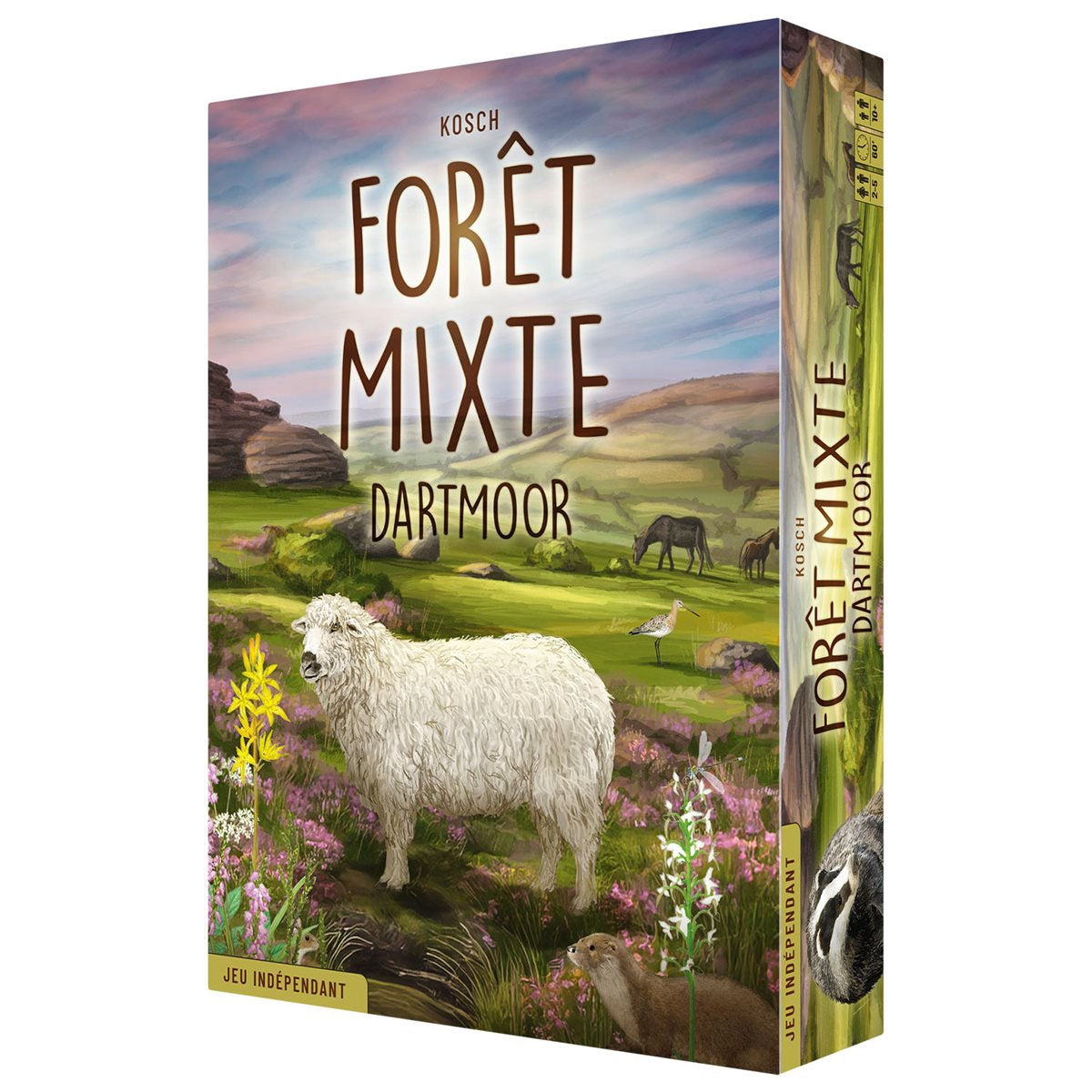 Foret Mixte - Dartmoor (FR)