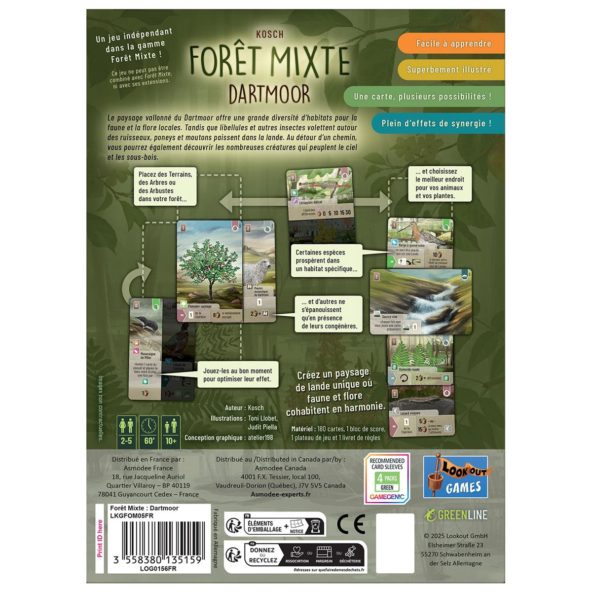 Foret Mixte - Dartmoor (FR)