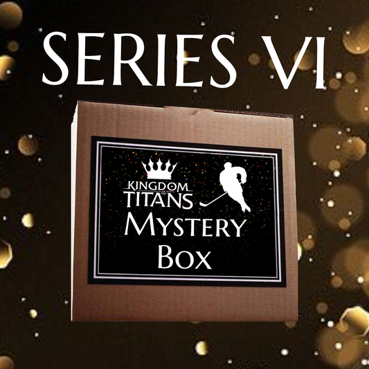 Mystery Box #23 Hockey Series VI