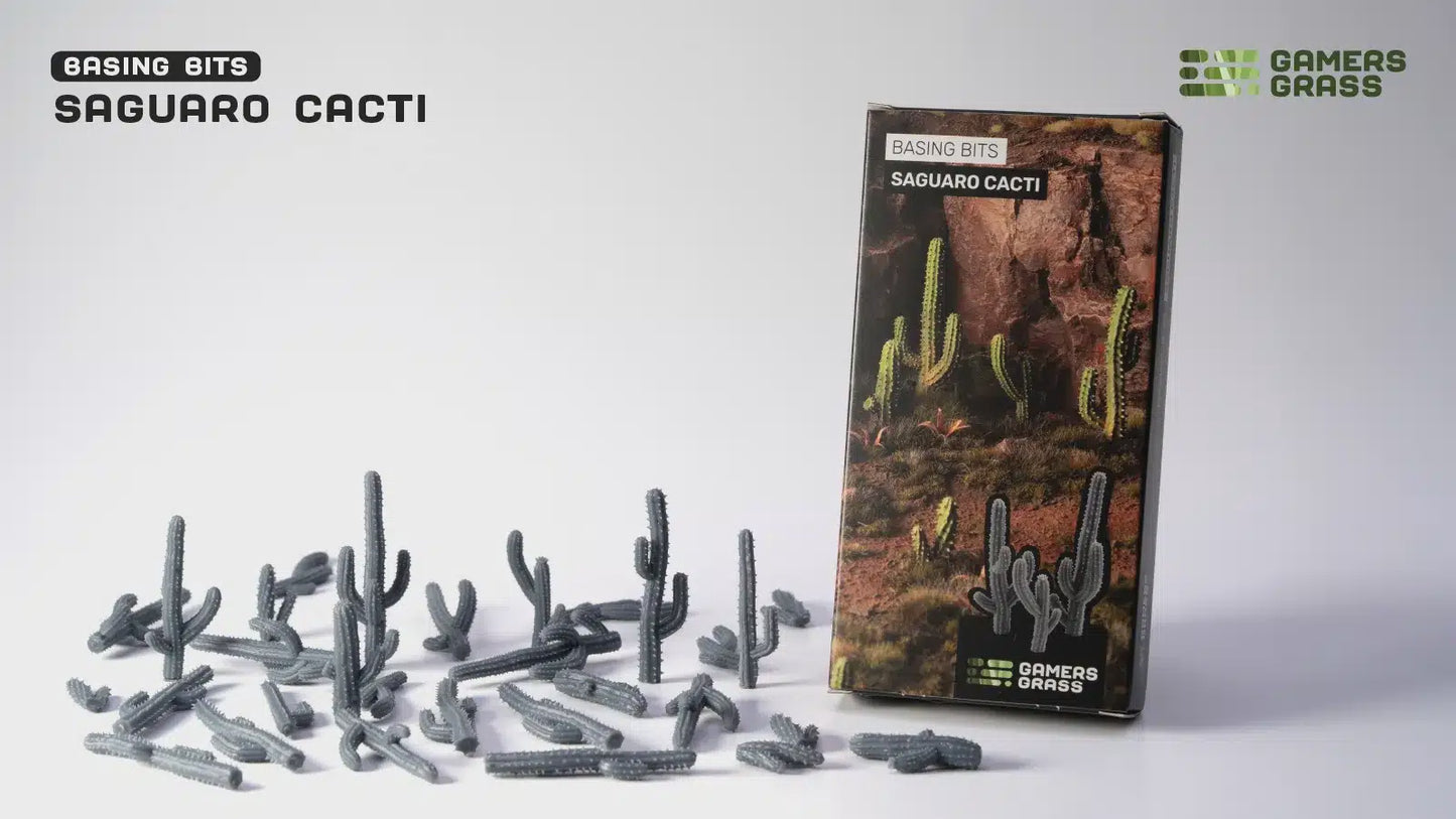 Basing Bits - Saguaro Cacti