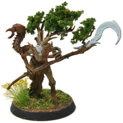 SYLVANETH Branchwych #1 WELL PAINTED Sigmar