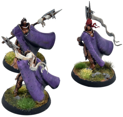 STORMCAST ETERNALS 3 Praetors #1 WELL PAINTED Warhammer Sigmar 0400