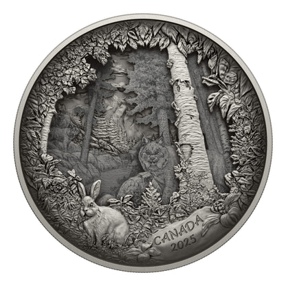 Predator or Prey in Shadow Box – Fine Silver Coin (247976)
