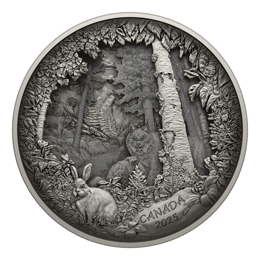 Predator or Prey in Shadow Box – Fine Silver Coin (247976)