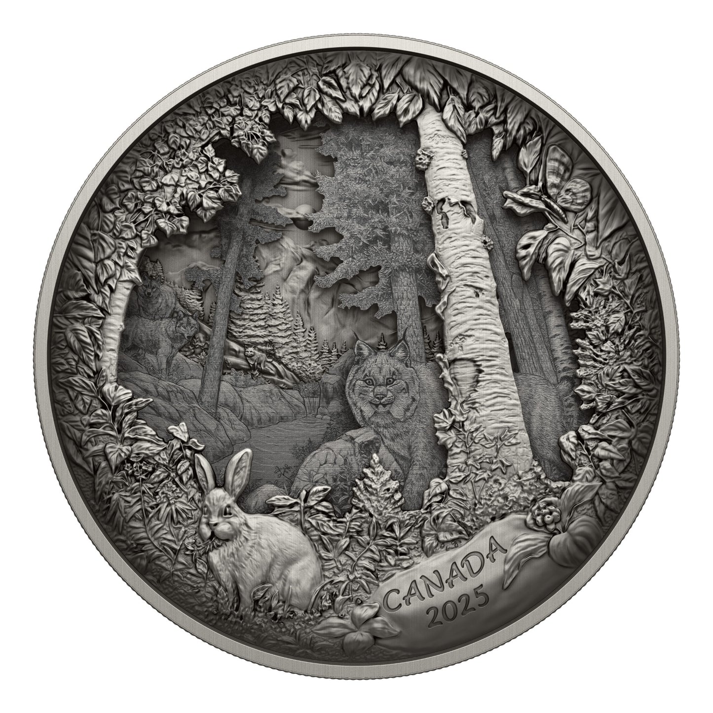 Predator or Prey in Shadow Box – Fine Silver Coin