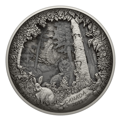 Predator or Prey in Shadow Box – Fine Silver Coin