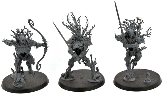 SYLVANETH 3 Kurnoth Hunters #1 Warhammer Sigmar