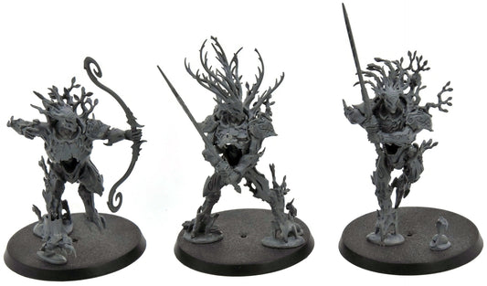 SYLVANETH 3 Kurnoth Hunters #1 Warhammer Sigmar