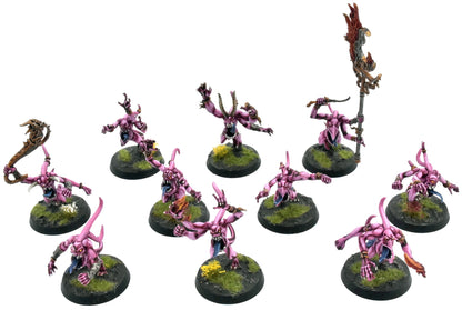 DISCIPLES OF TZEENTCH 10 Pink Horrors Of Tzeentch #1 COMMISSION PRO PAINTED 0119