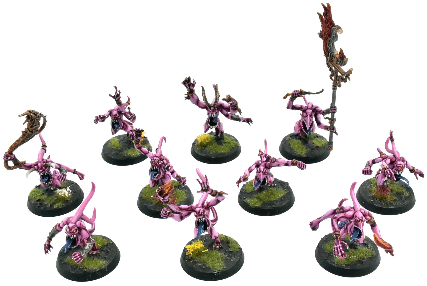 DISCIPLES OF TZEENTCH 10 Pink Horrors Of Tzeentch #1 COMMISSION PRO PAINTED 0119