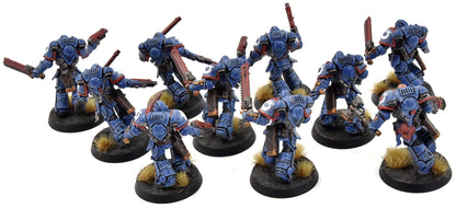 SPACE MARINES 10 Assault Intercessors #1 WELL PAINTED Ultramarines 40K