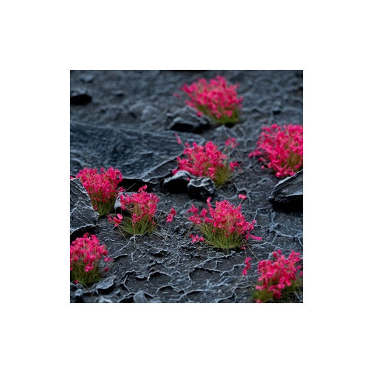 Pink Flowers - Wild
