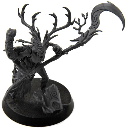 SYLVANETH Branchwych #1 Warhammer Sigmar