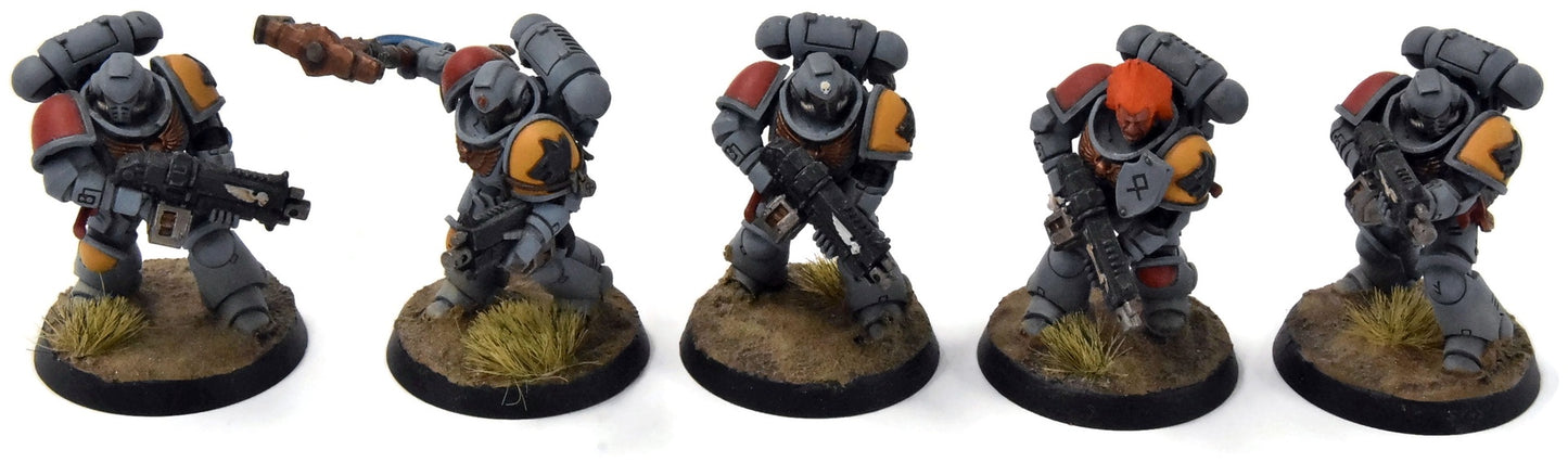 SPACE WOLVES 5 Intercessors #3 Warhammer 40K WELL PAINTED