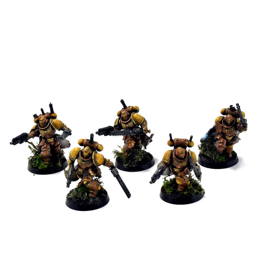 SPACE MARINES 5 Assault Intercessors #1 PRO PAINTED Minotaurs 40k