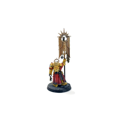 SPACE MARINES Bladeguard Ancient #1  WELL PAINTED 40K IMPERIAL FISTS