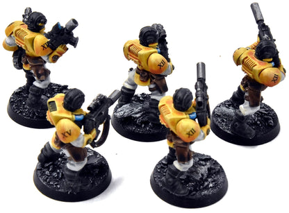 SPACE MARINES Imperial Fists 5 Scout Marines #3 WELL PAINTED Warhammer 40K