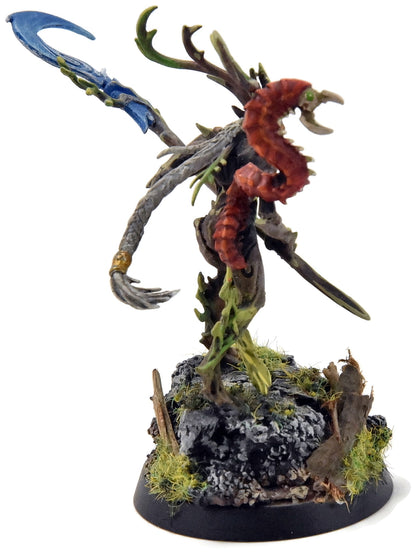 SYLVANETH Branchwych #2 WELL PAINTED Sigmar