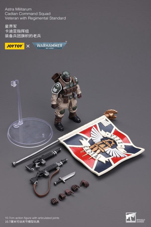 Cadian Command Squad Veteran with Regimental Standard Astra Militarum Joy Toy