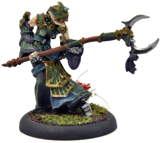 HORDES Paingiver Task Master #1 METAL Skorne WELL PAINTED