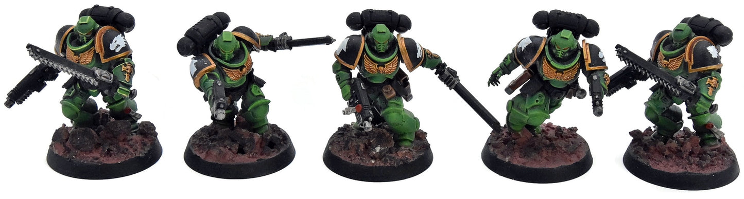 SPACE MARINES 10 Assault Intercessors #1 WELL PAINTED Warhammer 40K salamanders