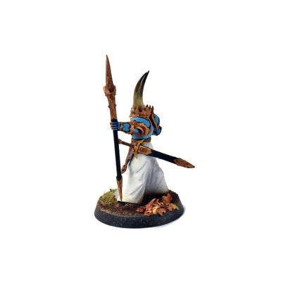 DISCIPLES OF TZEENTCH Chaos Sorcerer Lord WELL PAINTED Sigmar #1