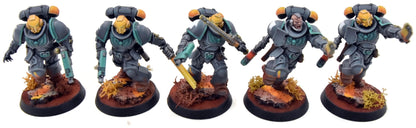 SPACE MARINES 10 Assault Intercessors Squad #2 PRO PAINTED Warhammer 40K