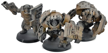 ASTRA MILITARUM 3 Auxilla Bullgryns #1 CONVERTED Warhammer 40K